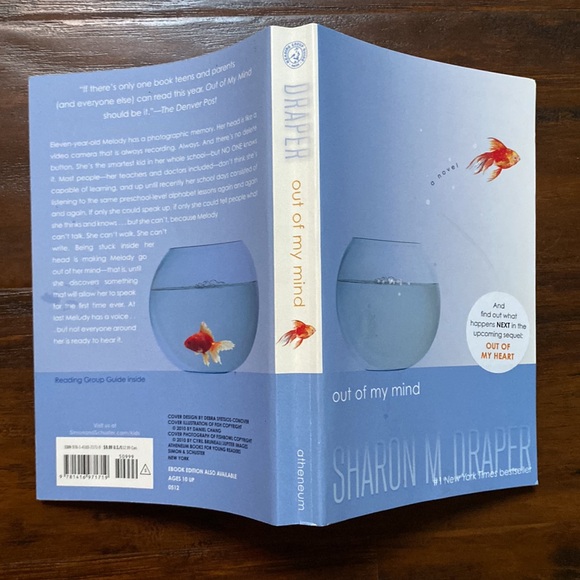 6 Kids Chapter Books | Reading Ages 9-12 | Reading Level 4-7 - Picture 6 of 11